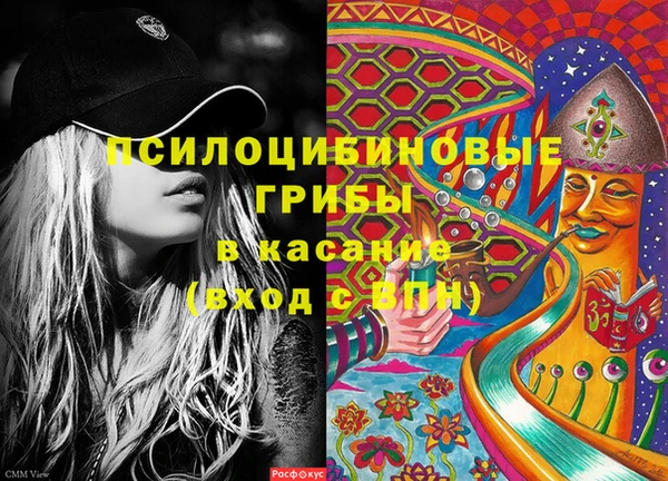 прущие крисы Магадан