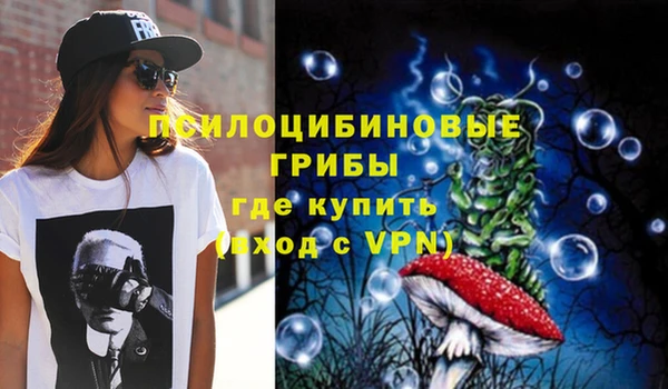 прущие крисы Магадан