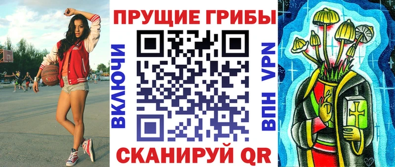 shop наркотические препараты  Южноуральск  Галлюциногенные грибы Cubensis 