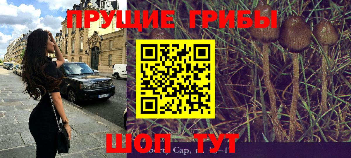 Псилоцибиновые грибы Cubensis Южноуральск
